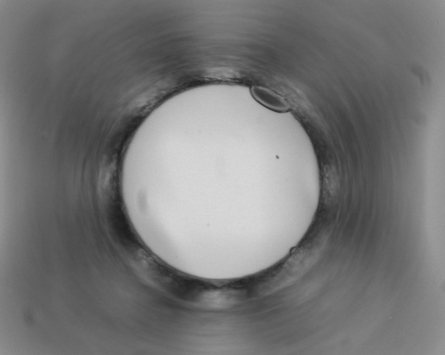 X0000113290364200910131031
