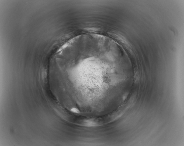 X0000113290365200910131031