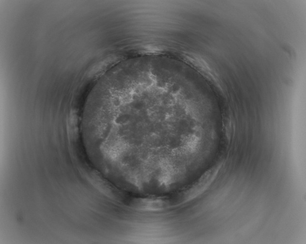 X0000113290366200910131031
