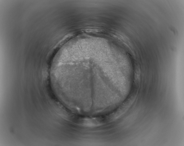 X0000113290367200910131031