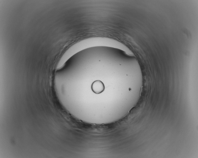 X0000113290368200910131031