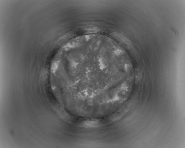 X0000113290369200910131031