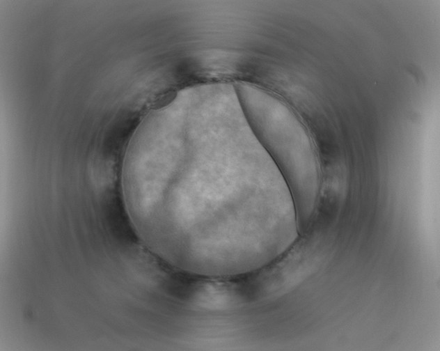 X0000113290372200910131031