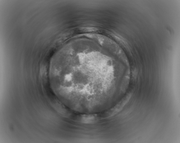 X0000113290373200910131031