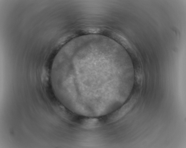X0000113290374200910131031