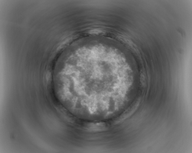 X0000113290375200910131031