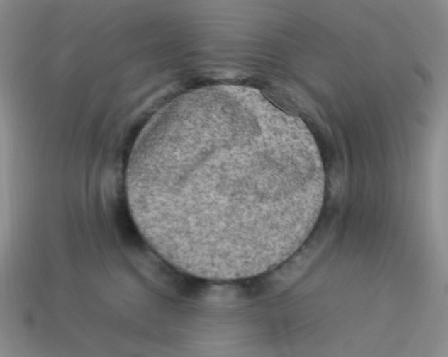 X0000113290376200910131031