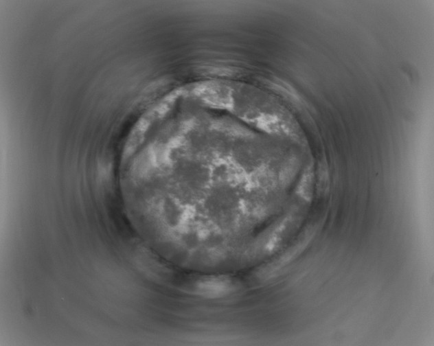X0000113290377200910131031