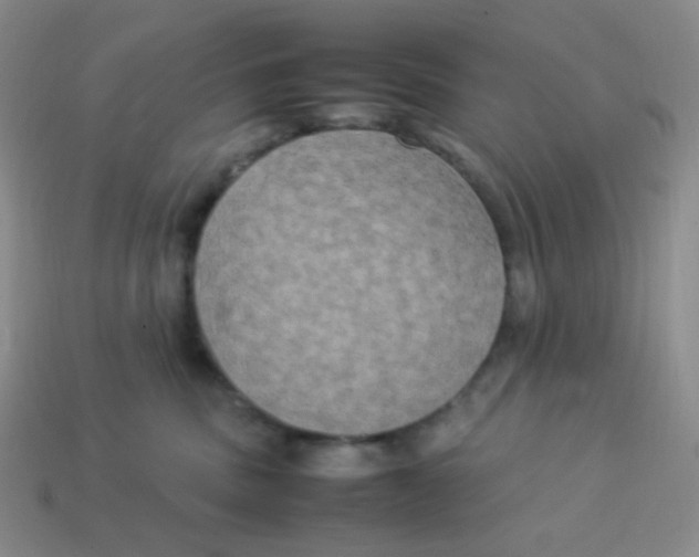X0000113290379200910131031