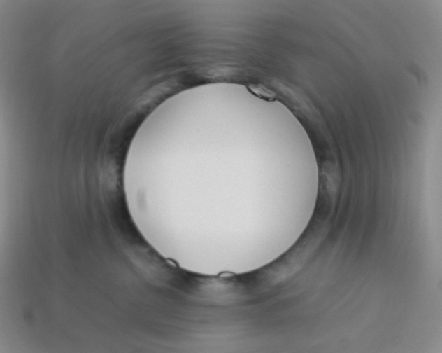 X0000113290380200910131031