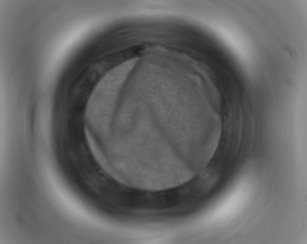 X0000113290383200910131031
