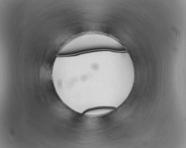 X0000113290384200910131031