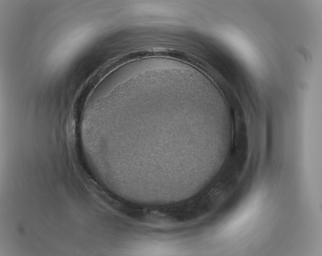 X0000113290387200910131030