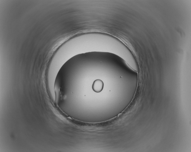 X0000113290389200910131030