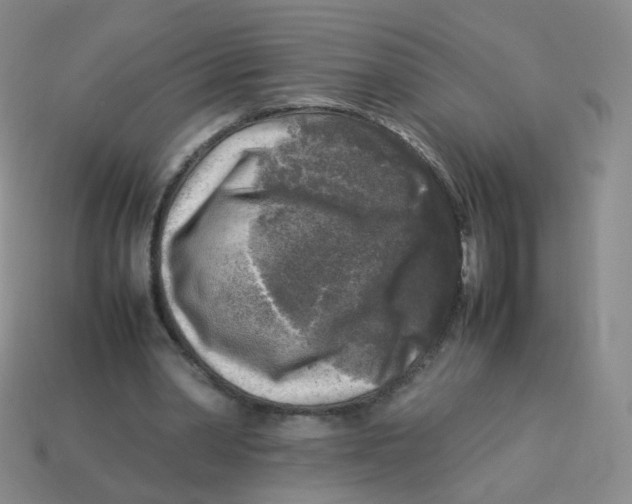 X0000113290390200910131030