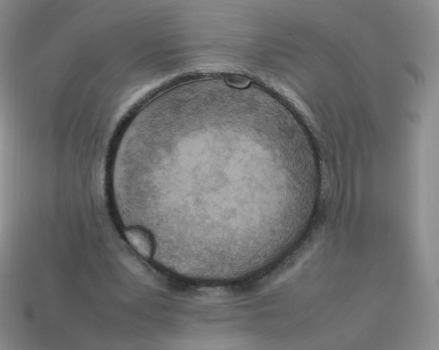 X0000113290391200910131030