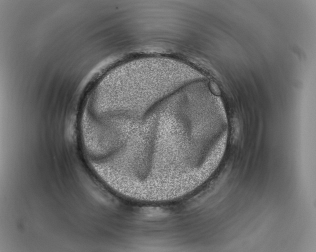 X0000113290392200910131030