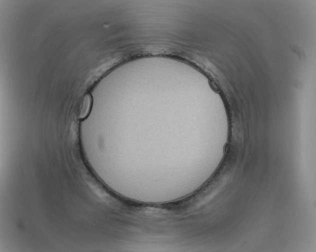 X0000113290393200910131030