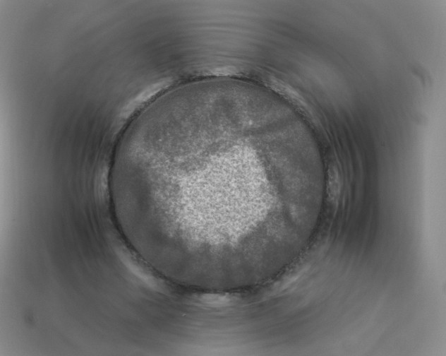 X0000113290394200910131030