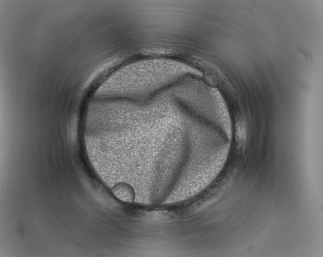 X0000113290396200910131030