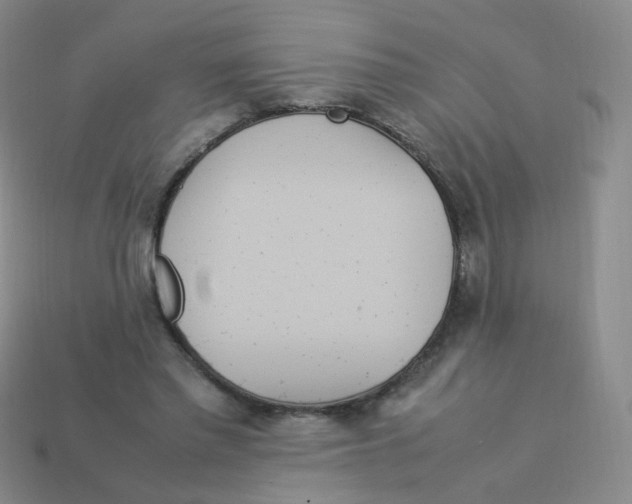 X0000113290397200910131030
