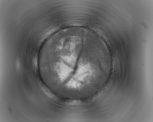 X0000113290398200910131030