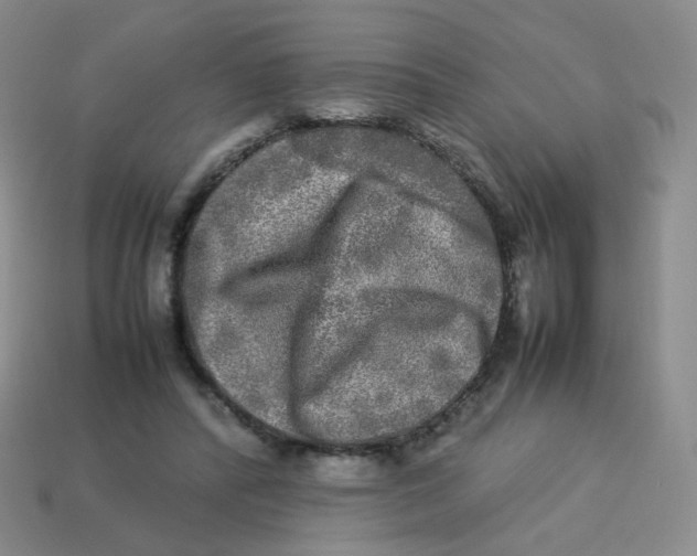X0000113290400200910131030