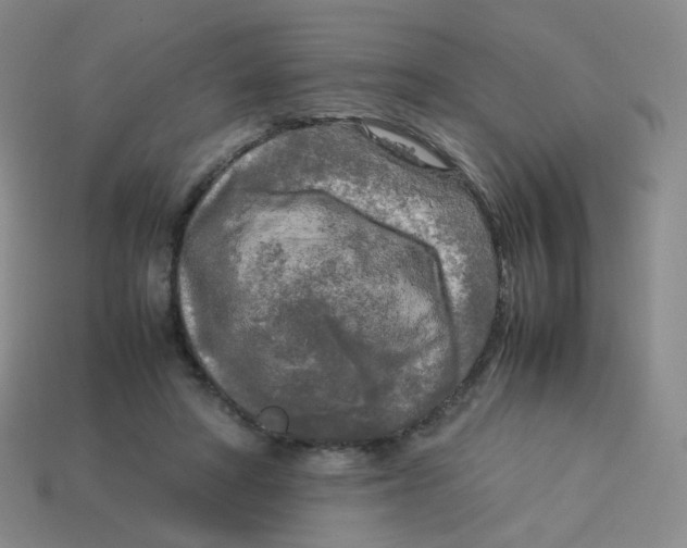 X0000113290402200910131030