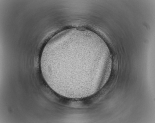 X0000113290403200910131030