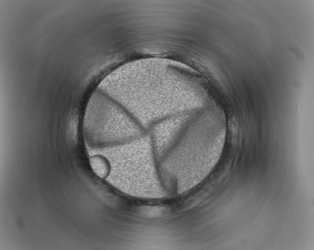 X0000113290404200910131030