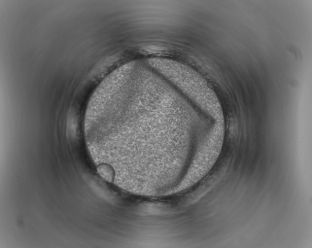 X0000113290408200910131030