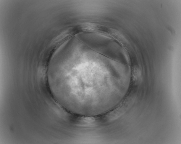 X0000113290409200910131030