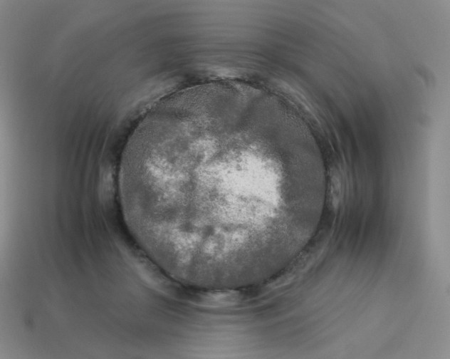 X0000113290410200910131030