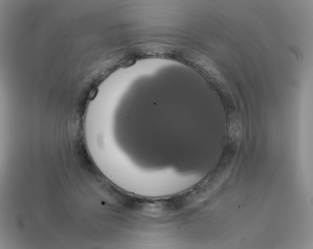 X0000113290411200910131030