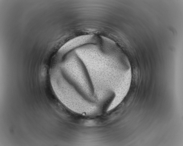 X0000113290412200910131030