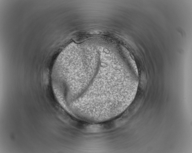X0000113290413200910131030