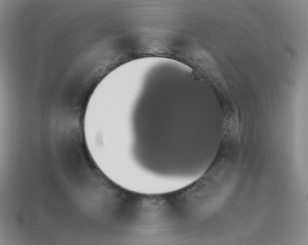 X0000113290415200910131030