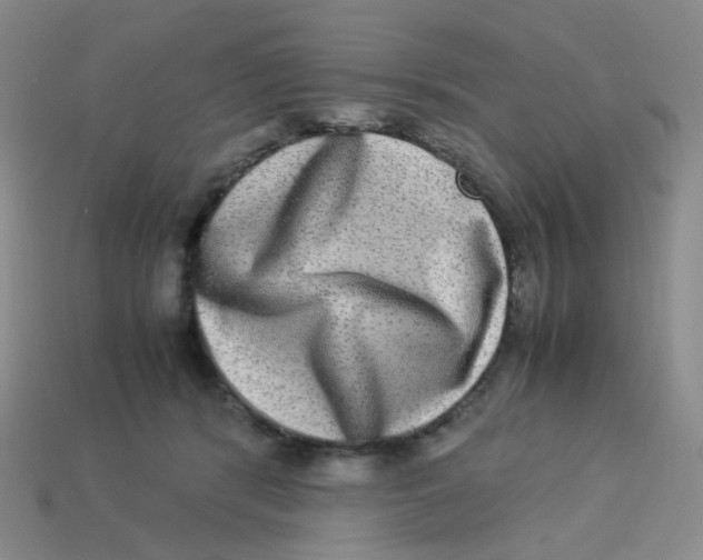 X0000113290416200910131030
