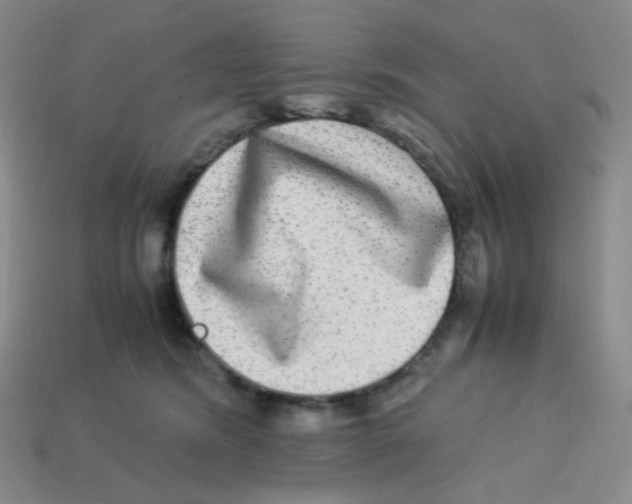 X0000113290420200910131030