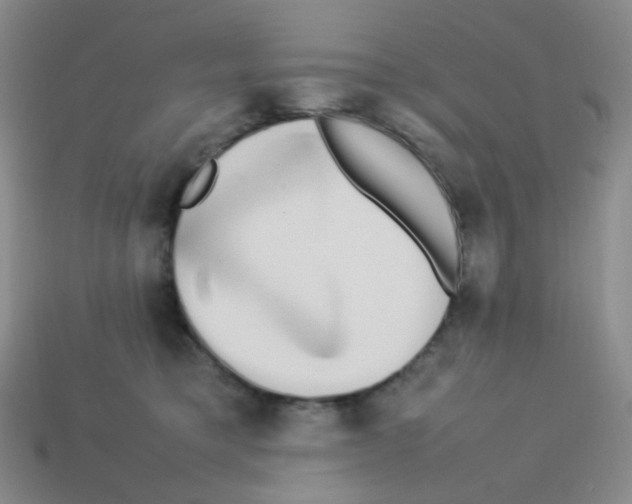 X0000113290421200910131030