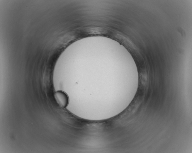 X0000113290422200910131030