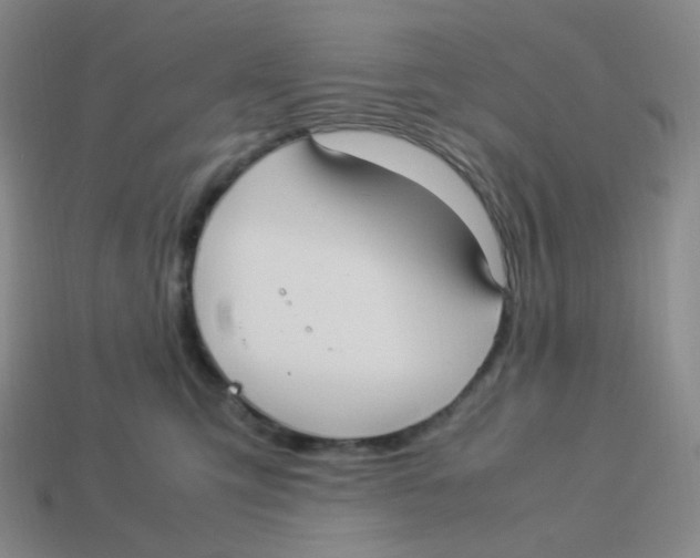 X0000113290423200910131030