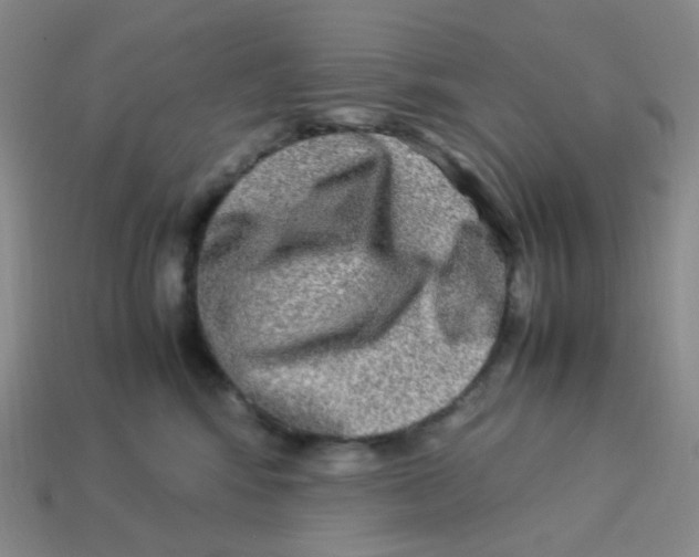 X0000113290424200910131030