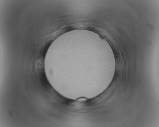 X0000113290425200910131030