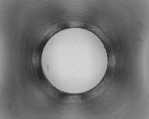 X0000113290426200910131030