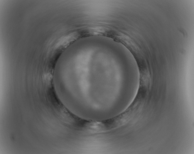 X0000113290427200910131030