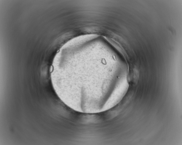 X0000113290428200910131030