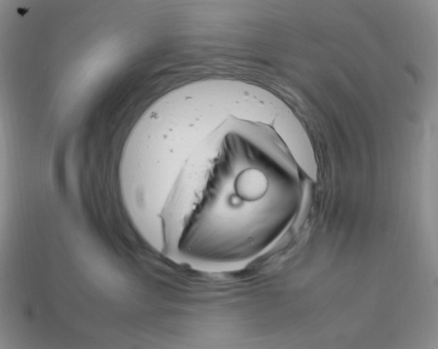 X0000113290429200910131030