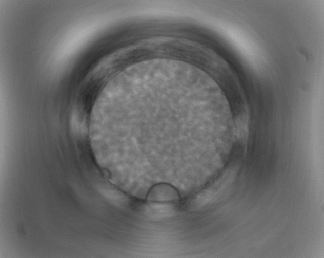 X0000113290431200910131030