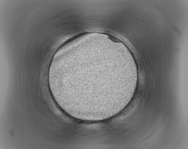 X0000113290433200910131029